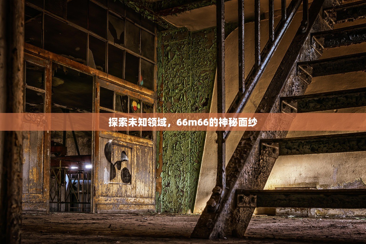 探索未知领域，66m66的神秘面纱