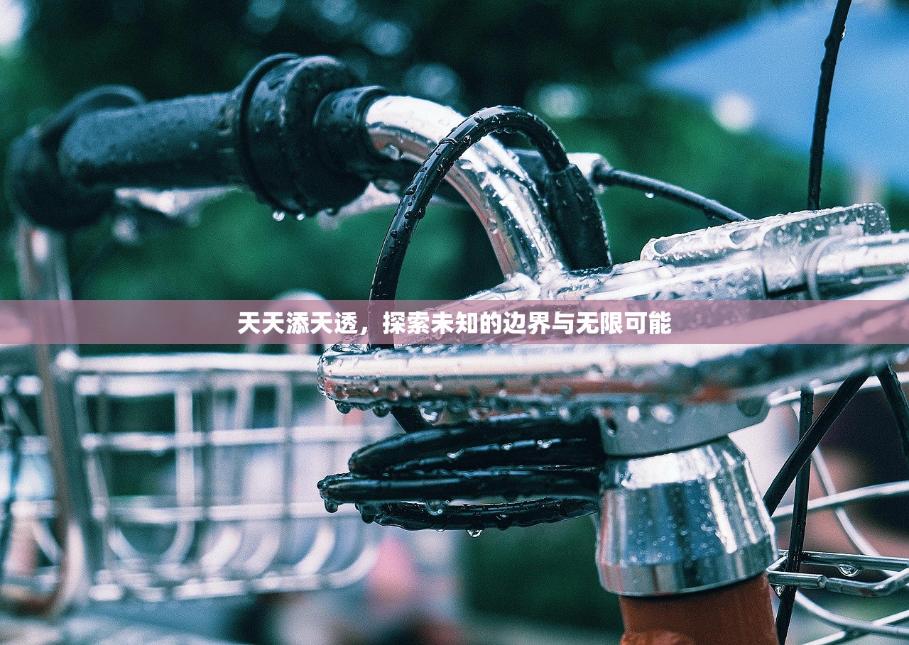 天天添天透，探索未知的边界与无限可能