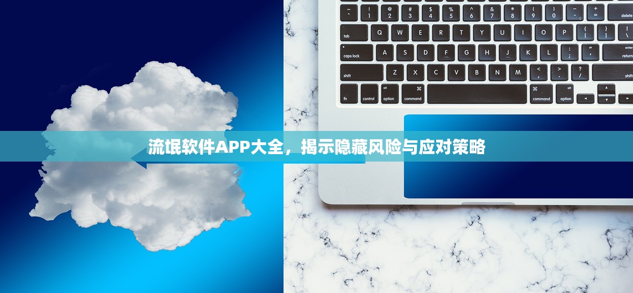 流氓软件APP大全，揭示隐藏风险与应对策略