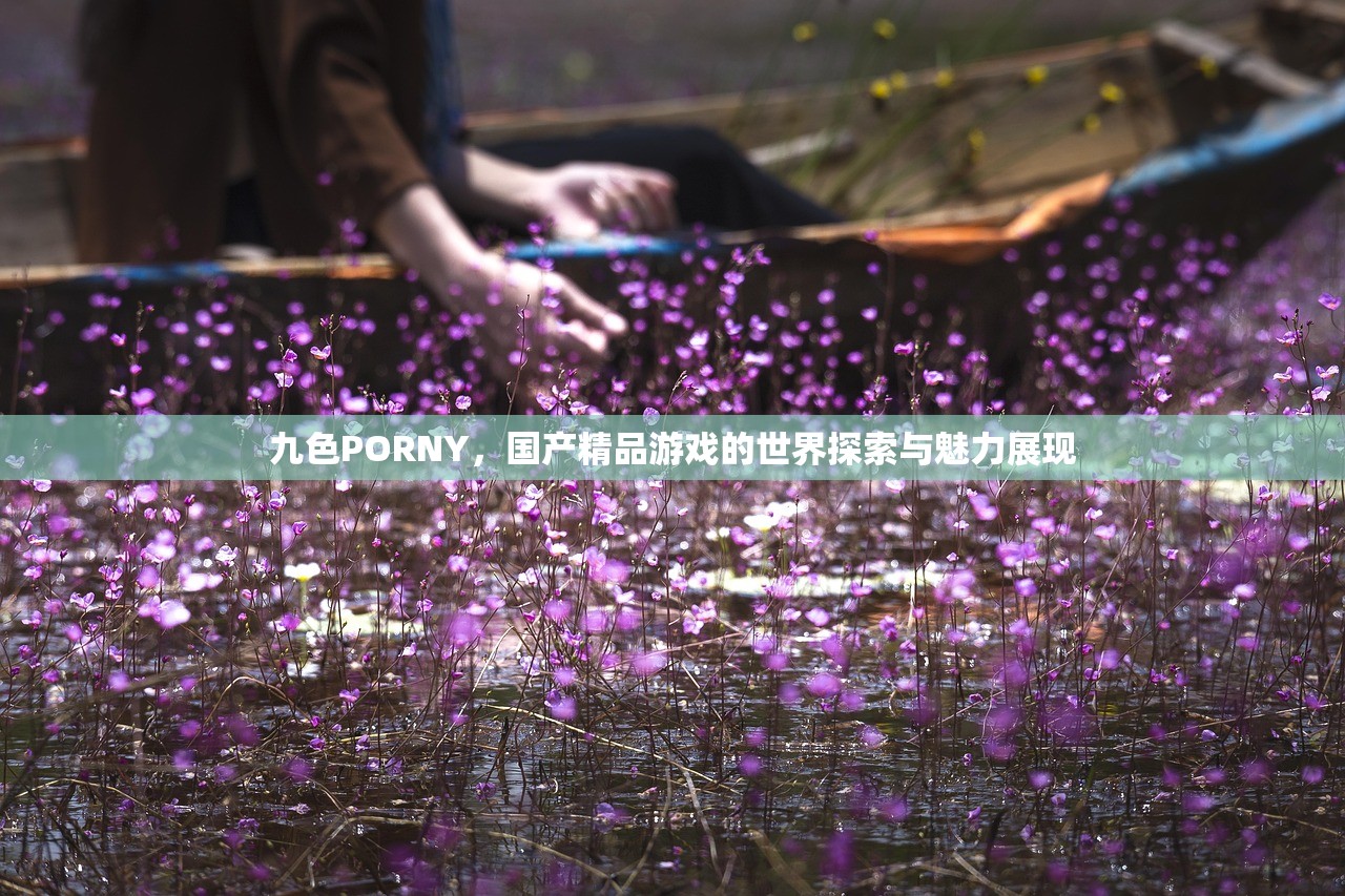 九色PORNY，国产精品游戏的世界探索与魅力展现