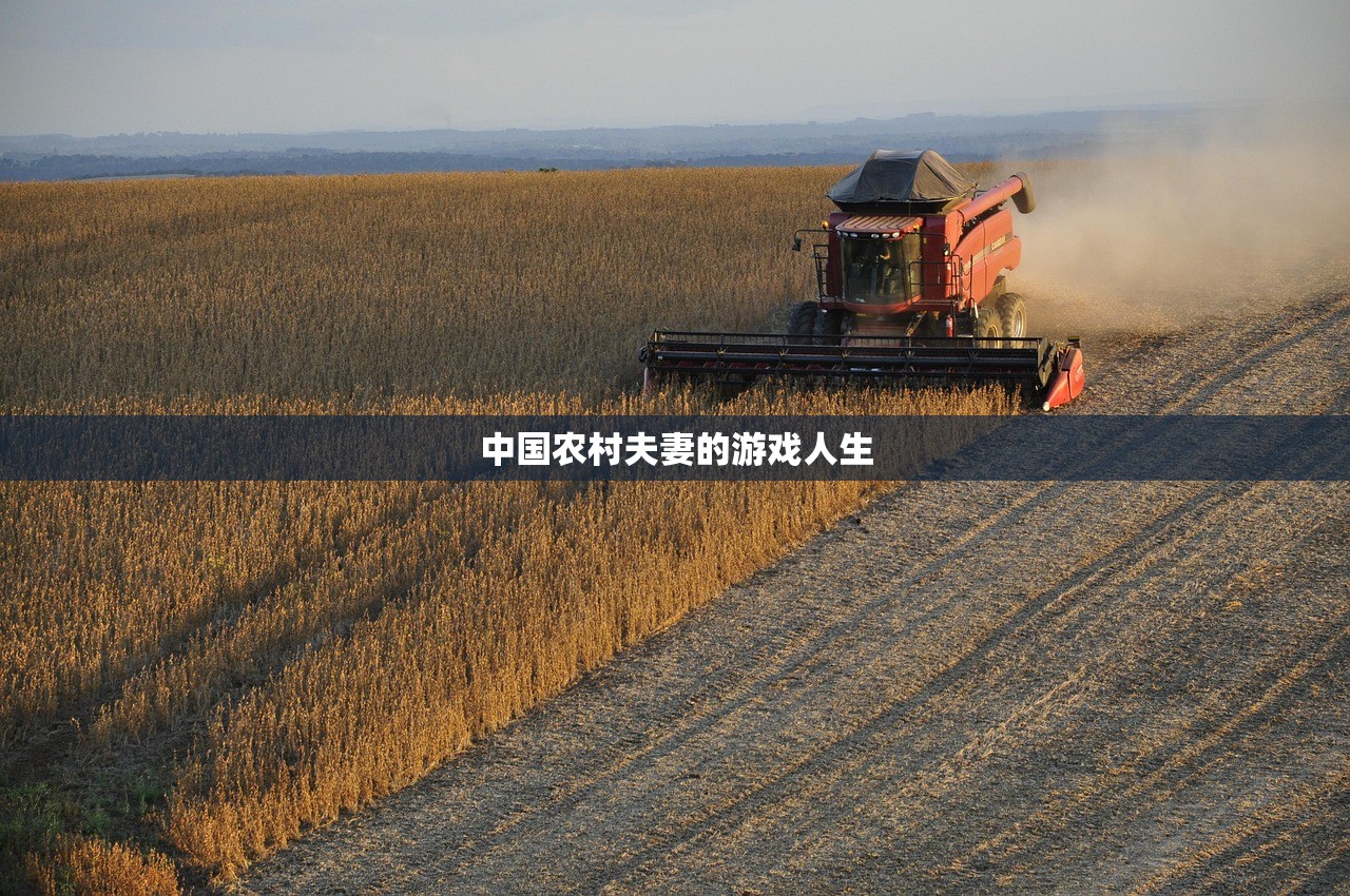 中国农村夫妻的游戏人生