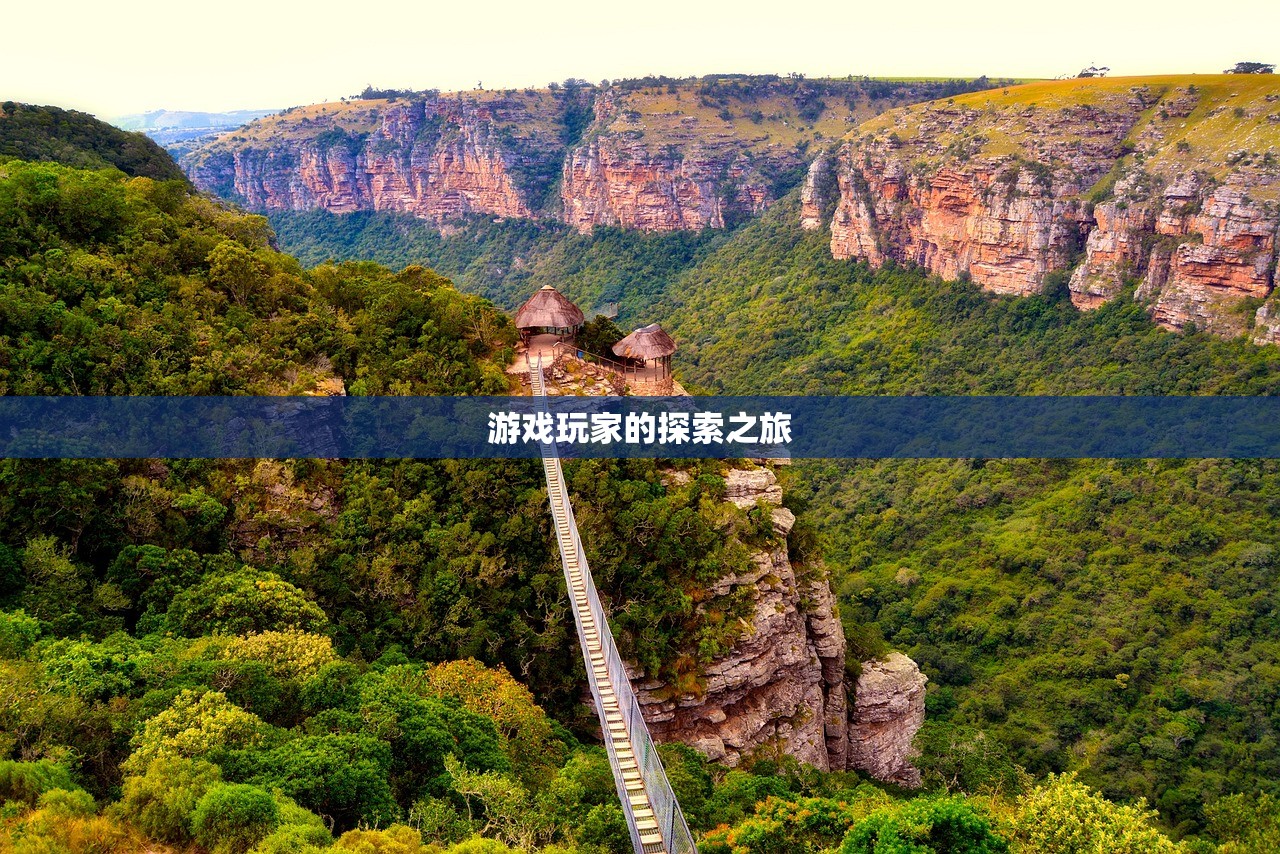 游戏玩家的探索之旅