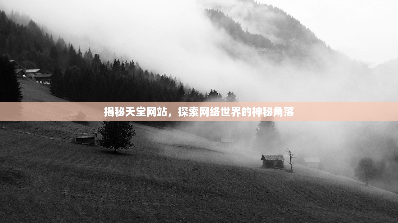 揭秘天堂网站，探索网络世界的神秘角落