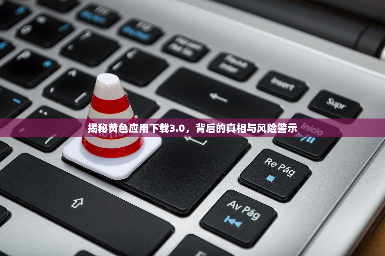 揭秘黄色应用下载3.0，背后的真相与风险警示