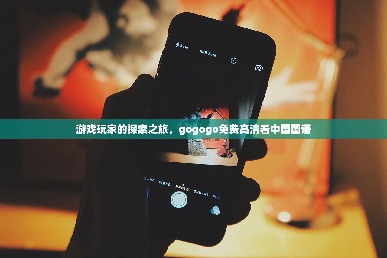 游戏玩家的探索之旅，gogogo免费高清看中国国语