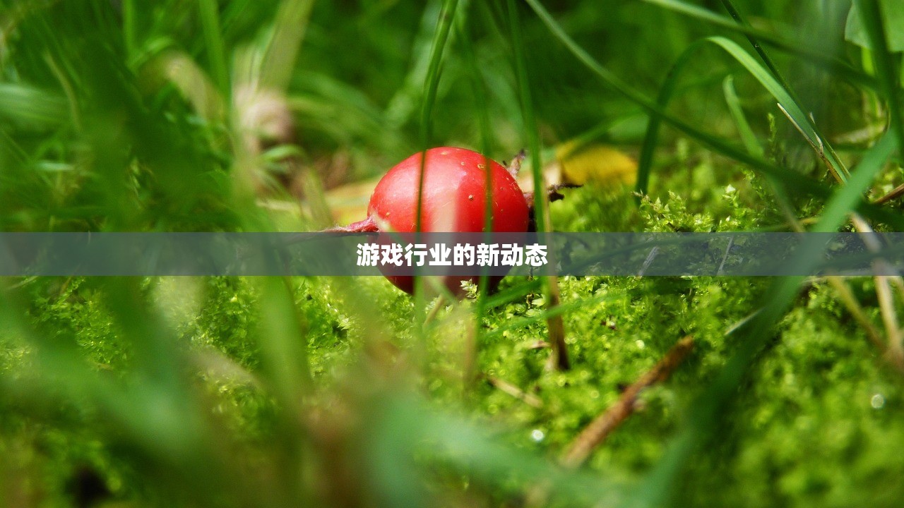 游戏行业的新动态