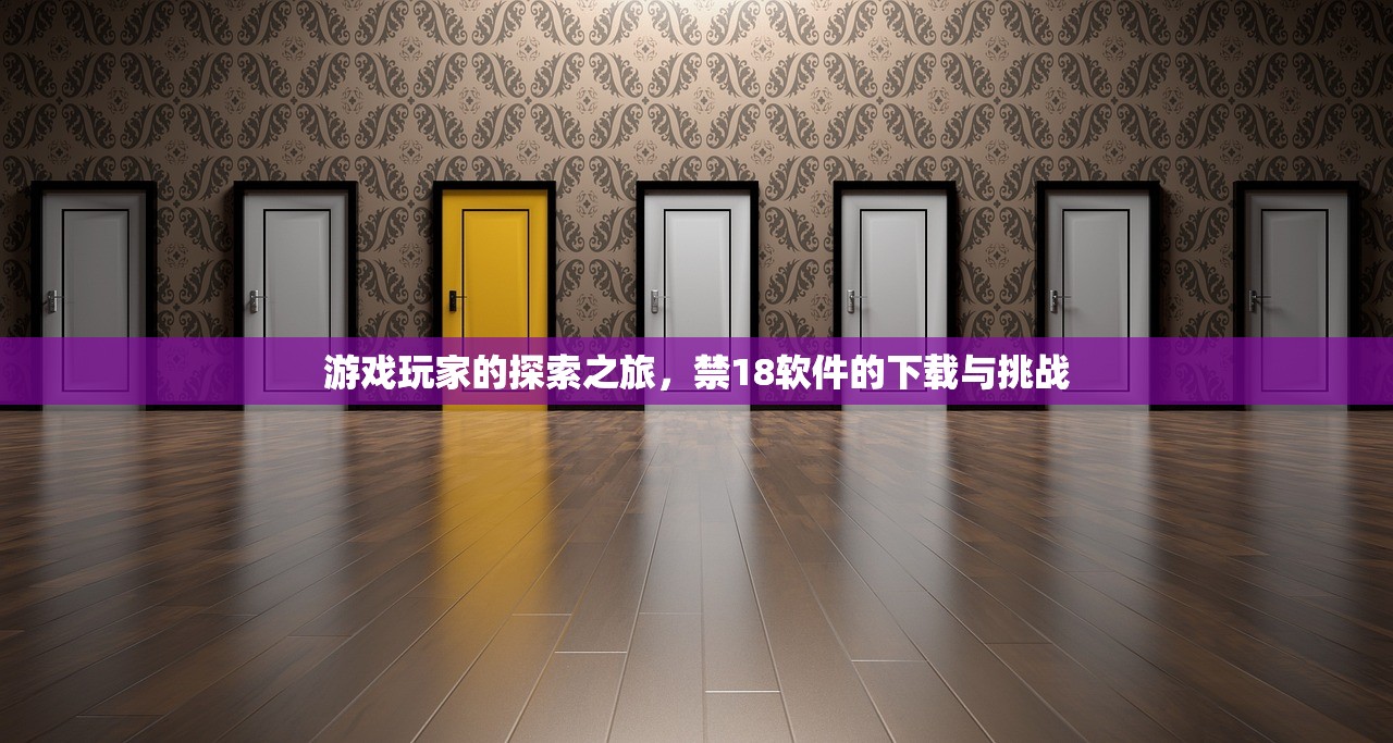 游戏玩家的探索之旅，禁18软件的下载与挑战
游戏玩家的探索之旅，禁18软件的下载与挑战