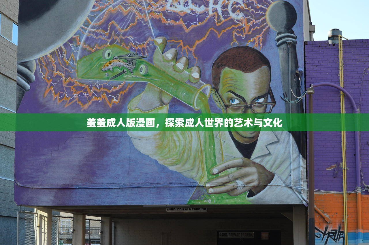羞羞成人版漫画，探索成人世界的艺术与文化
