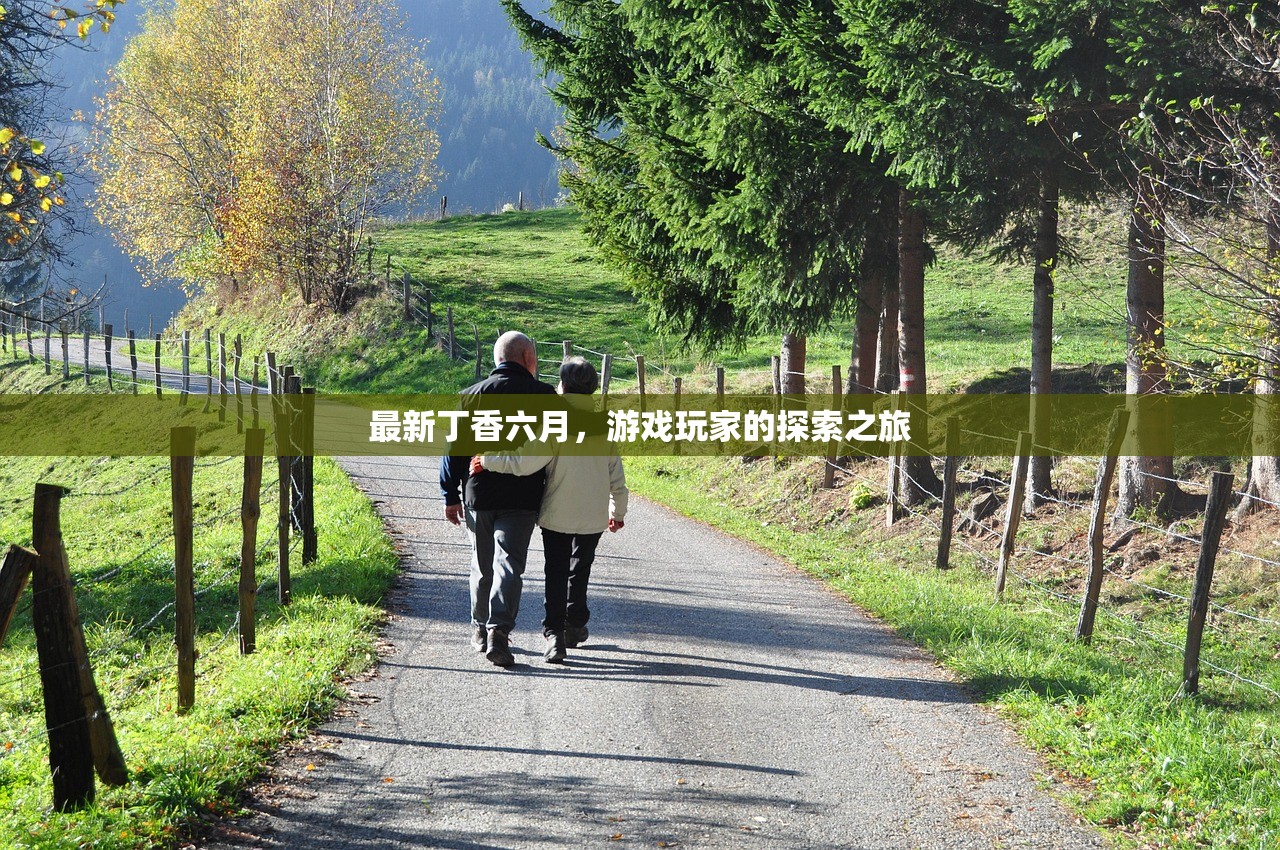 最新丁香六月，游戏玩家的探索之旅