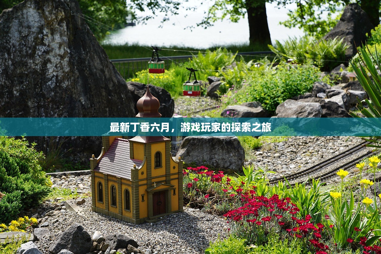 最新丁香六月，游戏玩家的探索之旅