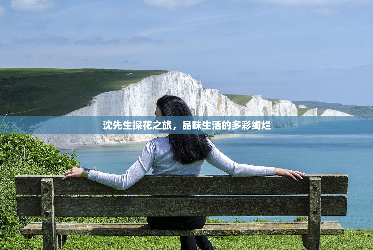 沈先生探花之旅，品味生活的多彩绚烂