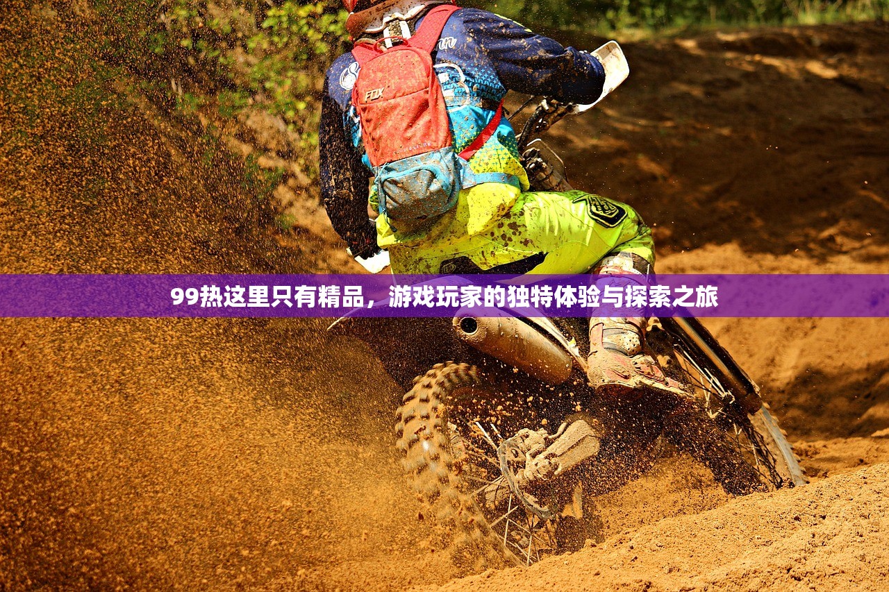 99热这里只有精品，游戏玩家的独特体验与探索之旅