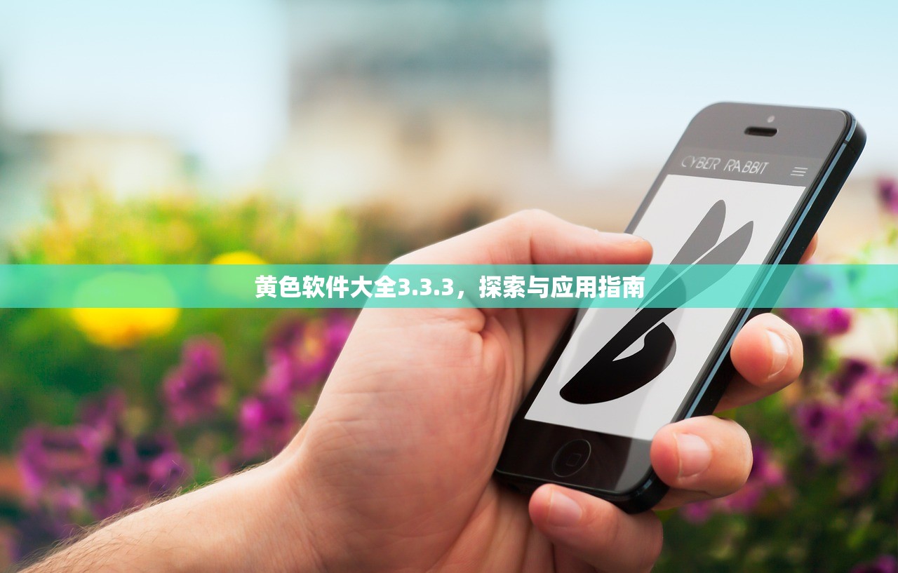 黄色软件大全3.3.3，探索与应用指南