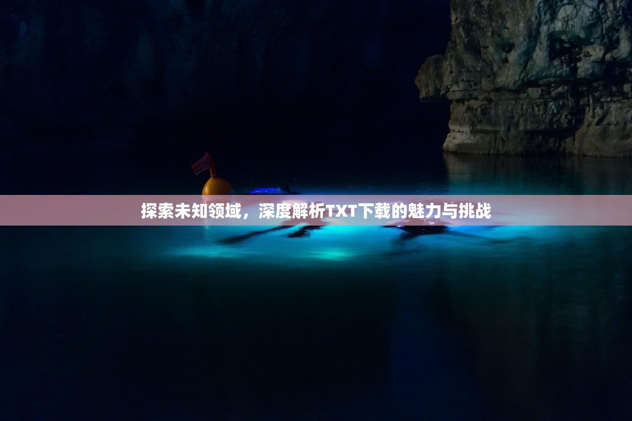 探索未知领域，深度解析TXT下载的魅力与挑战
