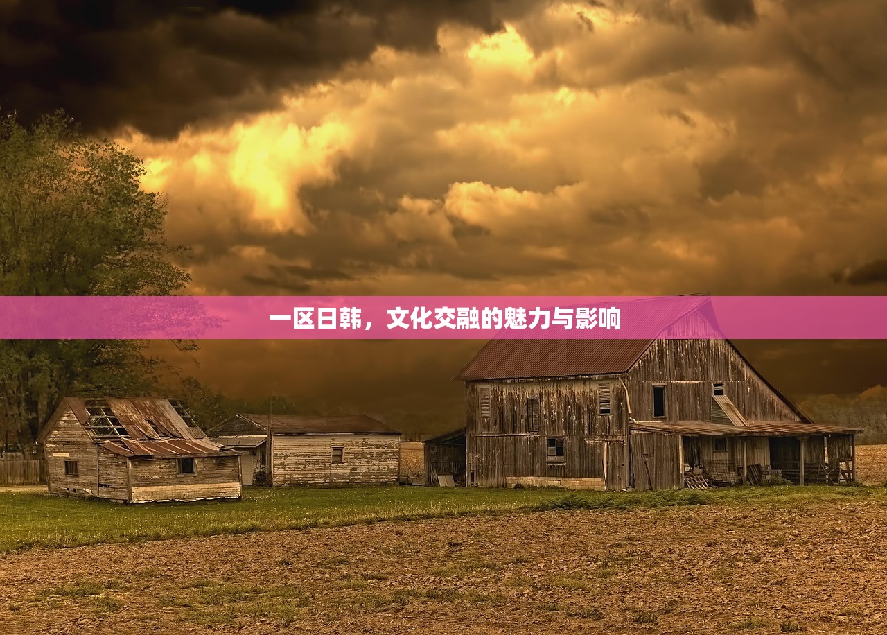 一区日韩，文化交融的魅力与影响