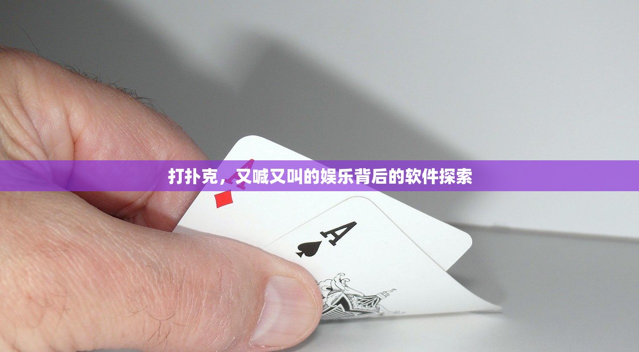 打扑克，又喊又叫的娱乐背后的软件探索