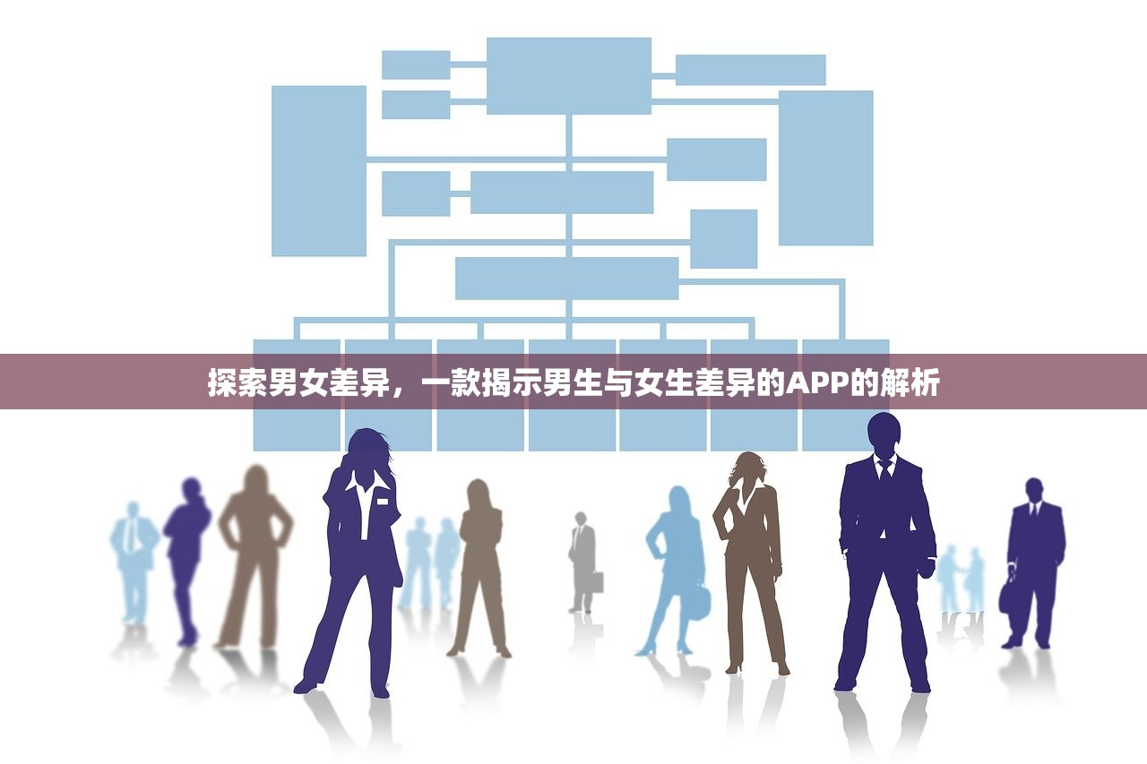 探索男女差异，一款揭示男生与女生差异的APP的解析