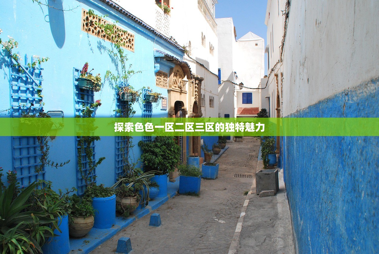 探索色色一区二区三区的独特魅力