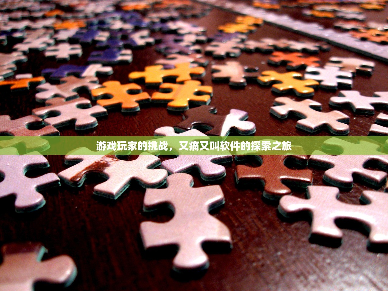 游戏玩家的挑战，又痛又叫软件的探索之旅