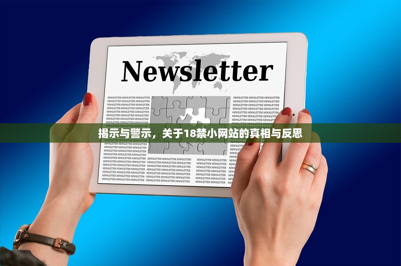 揭示与警示，关于18禁小网站的真相与反思