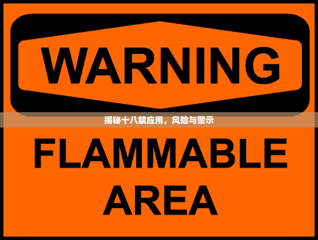 揭秘十八禁应用，风险与警示