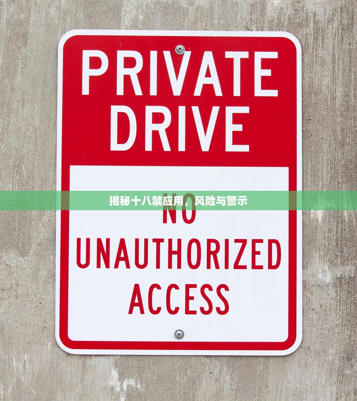 揭秘十八禁应用，风险与警示