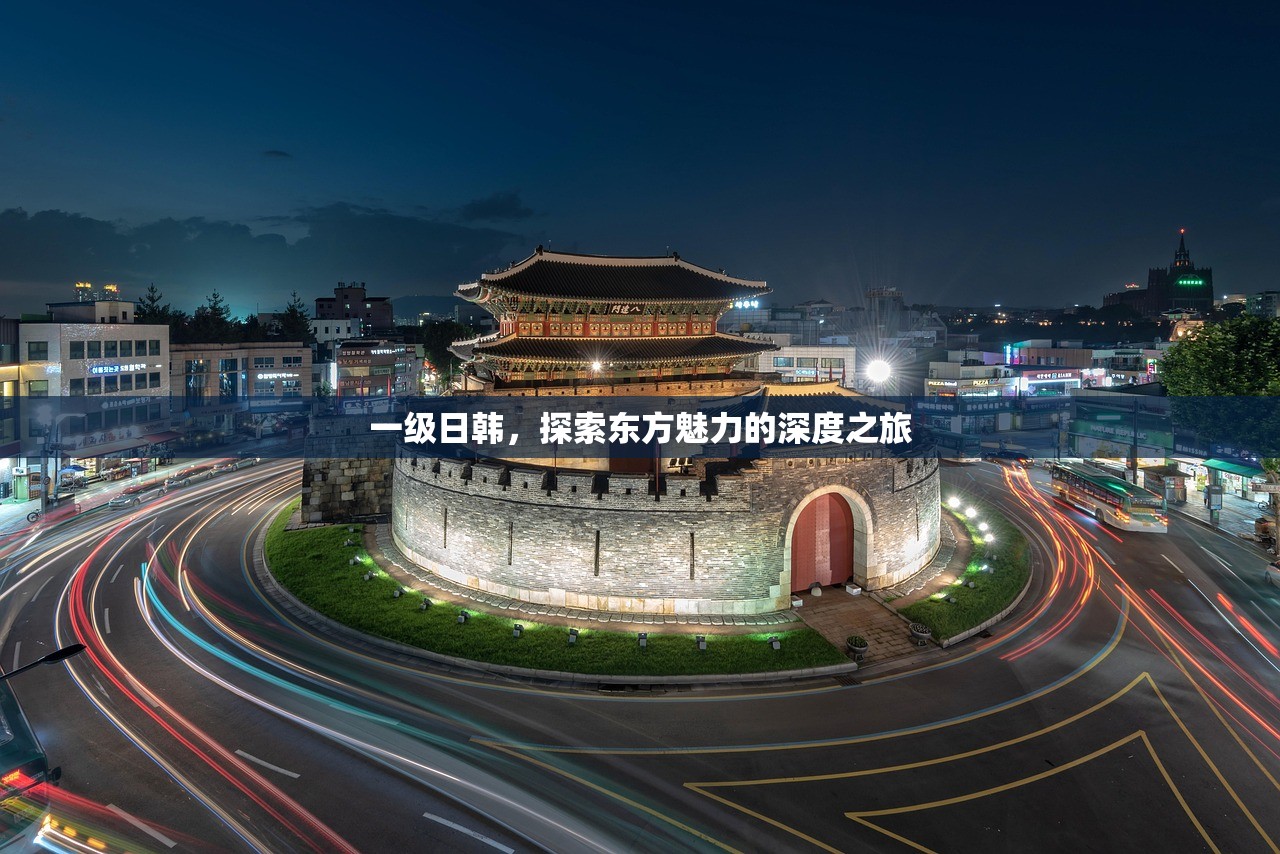 一级日韩，探索东方魅力的深度之旅