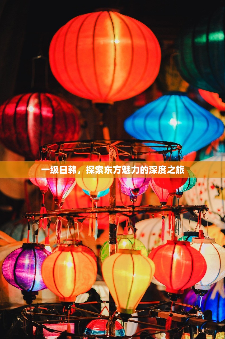 一级日韩，探索东方魅力的深度之旅