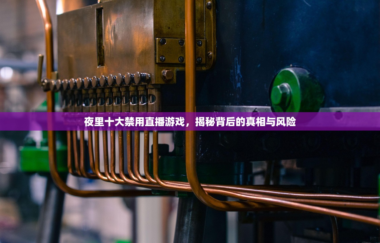 夜里十大禁用直播游戏，揭秘背后的真相与风险