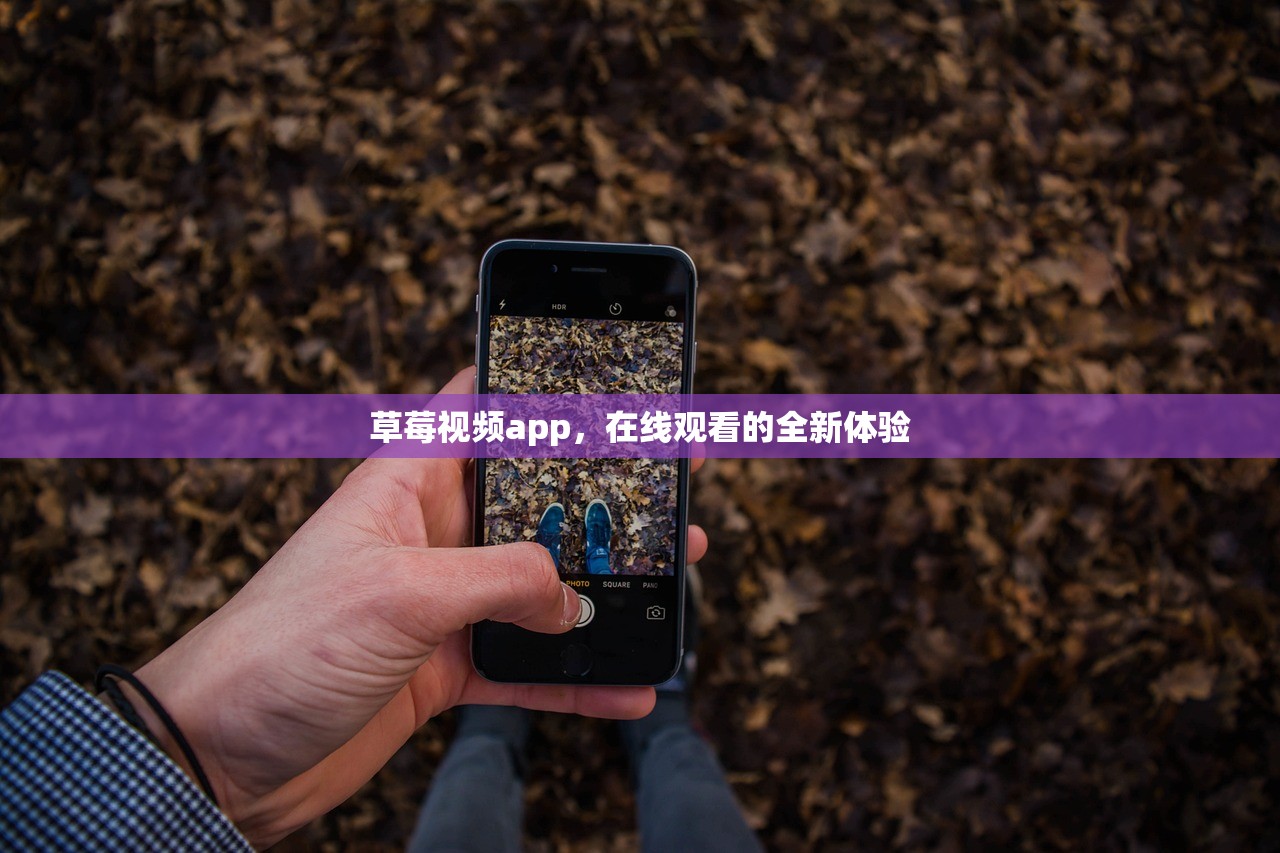 草莓视频app，在线观看的全新体验