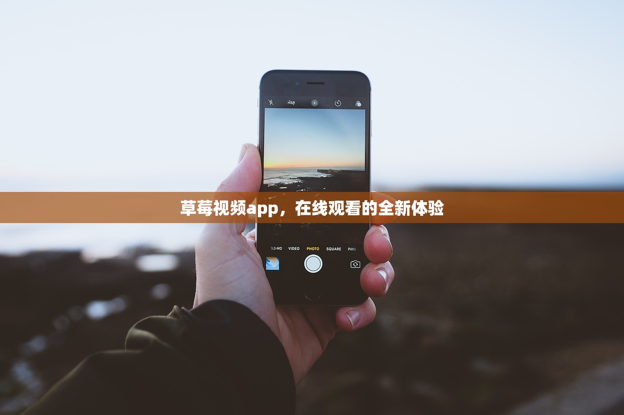 草莓视频app，在线观看的全新体验