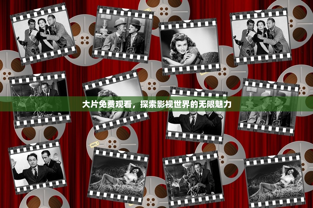 大片免费观看，探索影视世界的无限魅力