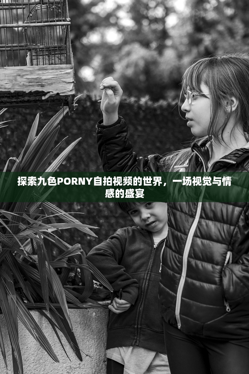 探索九色PORNY自拍视频的世界，一场视觉与情感的盛宴