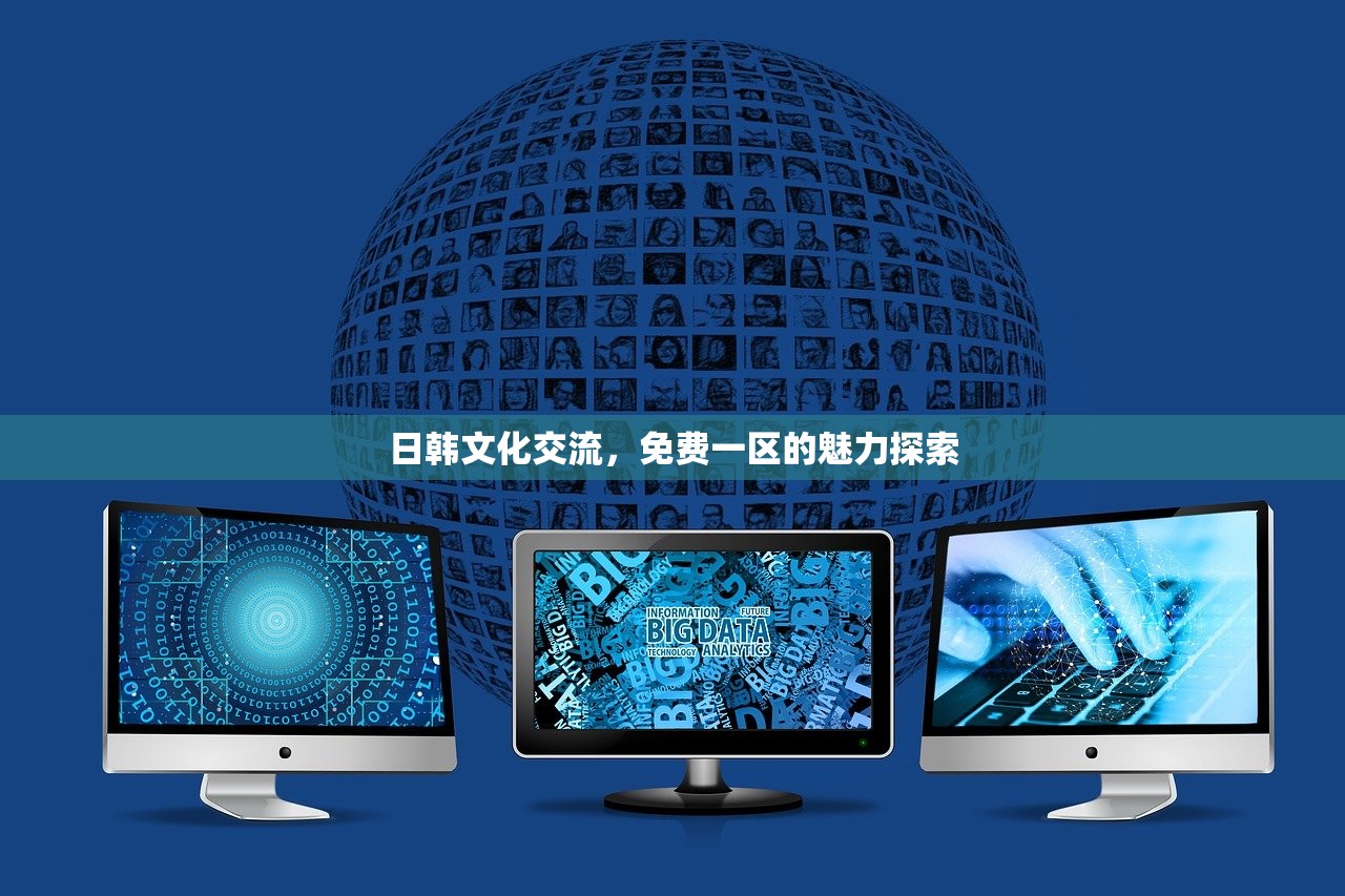 日韩文化交流，免费一区的魅力探索