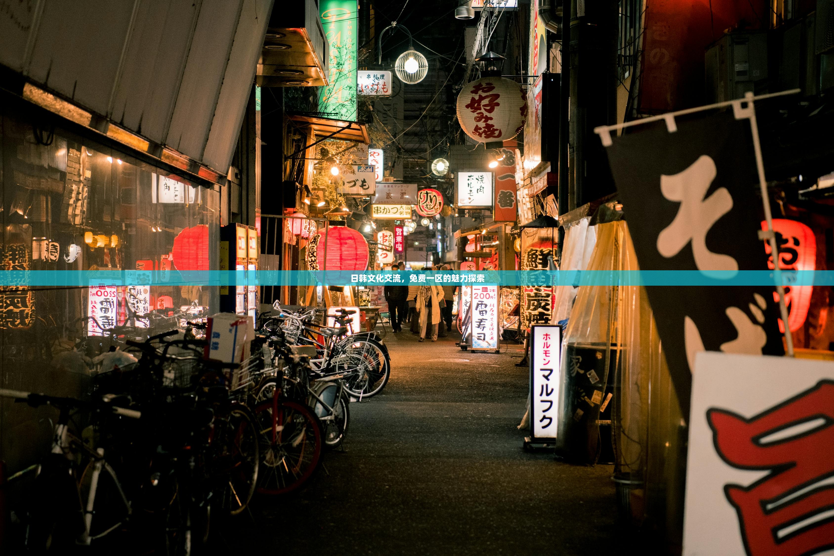 日韩文化交流，免费一区的魅力探索