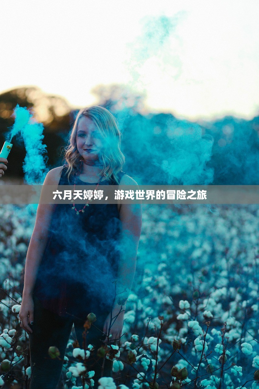 六月天婷婷，游戏世界的冒险之旅
