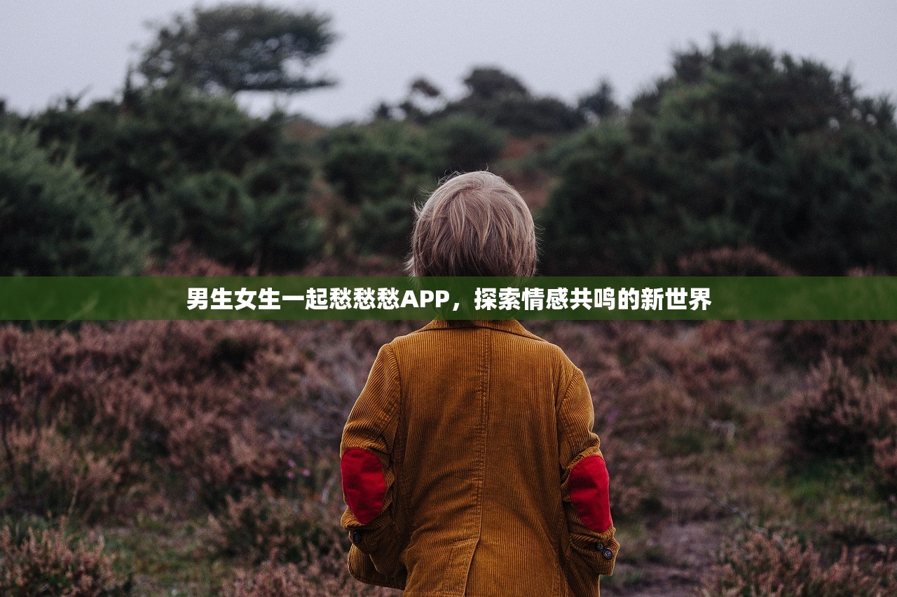 男生女生一起愁愁愁APP，探索情感共鸣的新世界