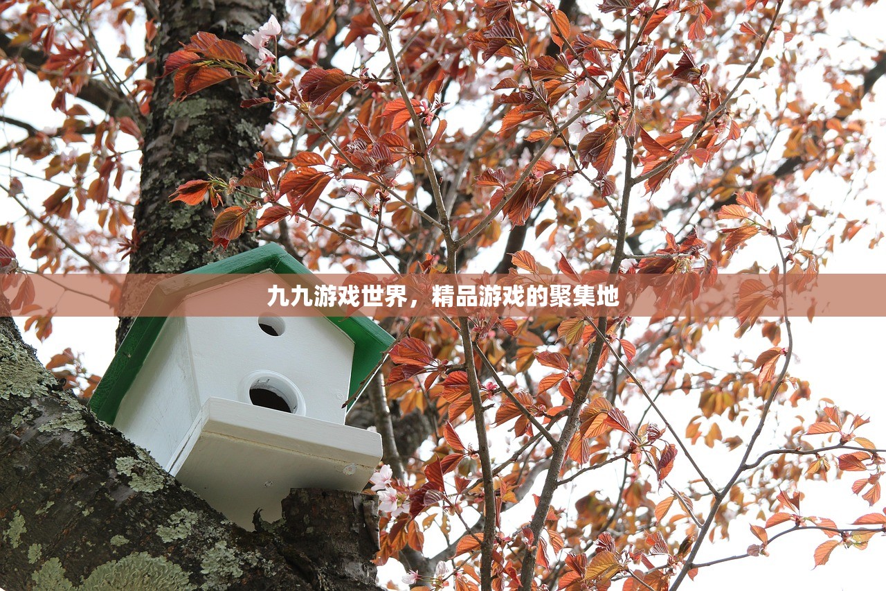 九九游戏世界，精品游戏的聚集地