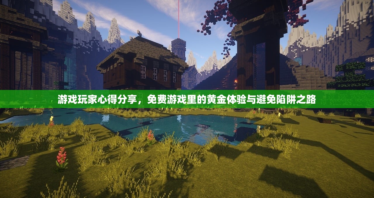 游戏玩家心得分享，免费游戏里的黄金体验与避免陷阱之路