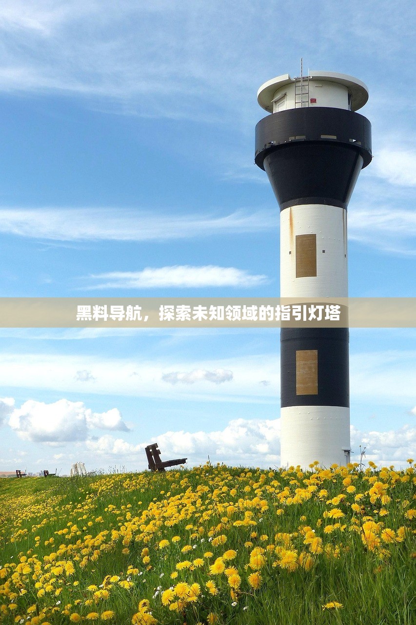 黑料导航，探索未知领域的指引灯塔