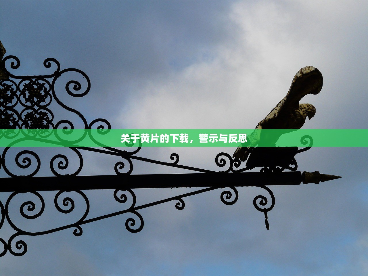 关于黄片的下载，警示与反思