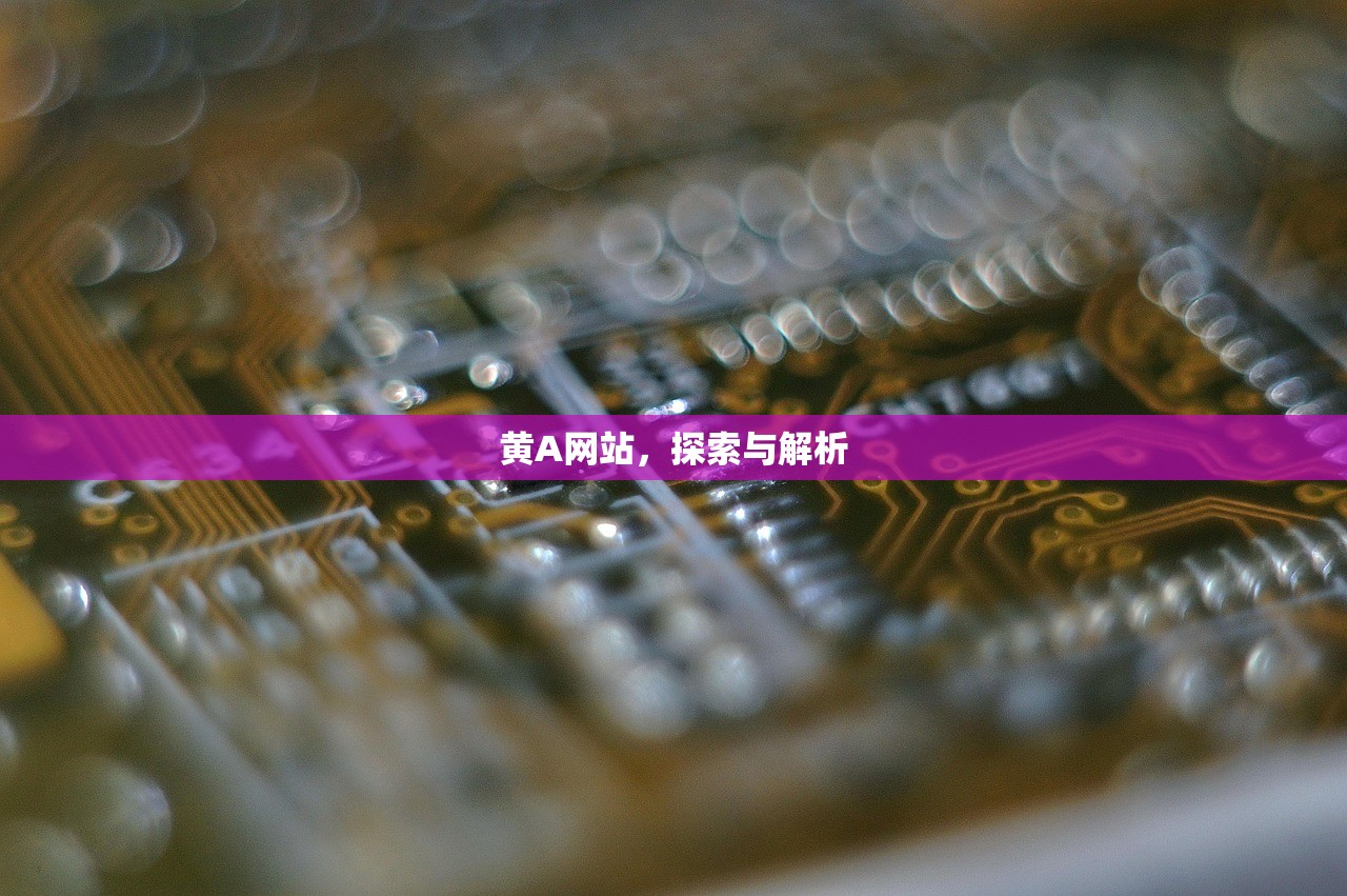 黄A网站，探索与解析