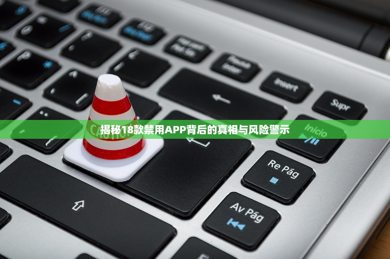 揭秘18款禁用APP背后的真相与风险警示
