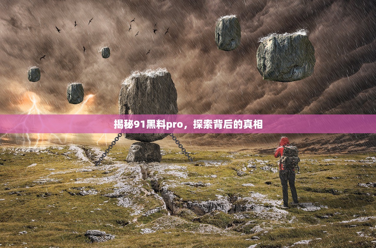 揭秘91黑料pro，探索背后的真相