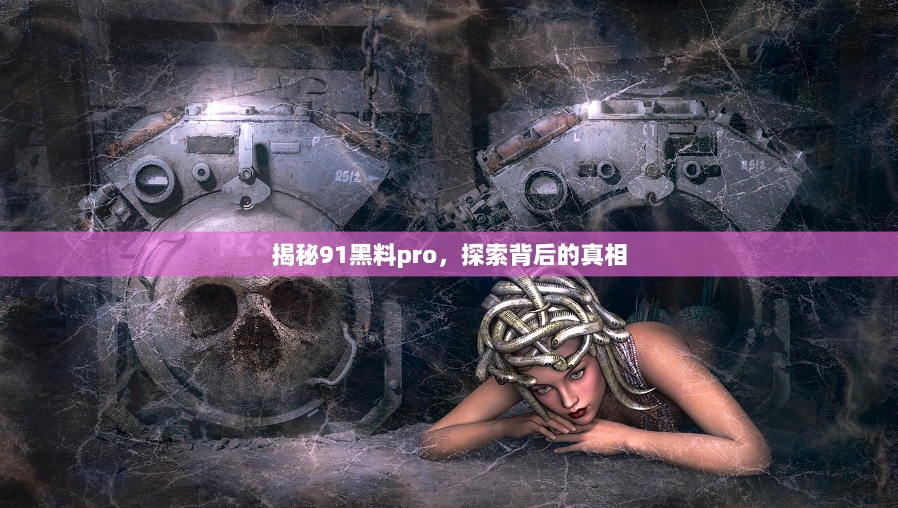 揭秘91黑料pro，探索背后的真相