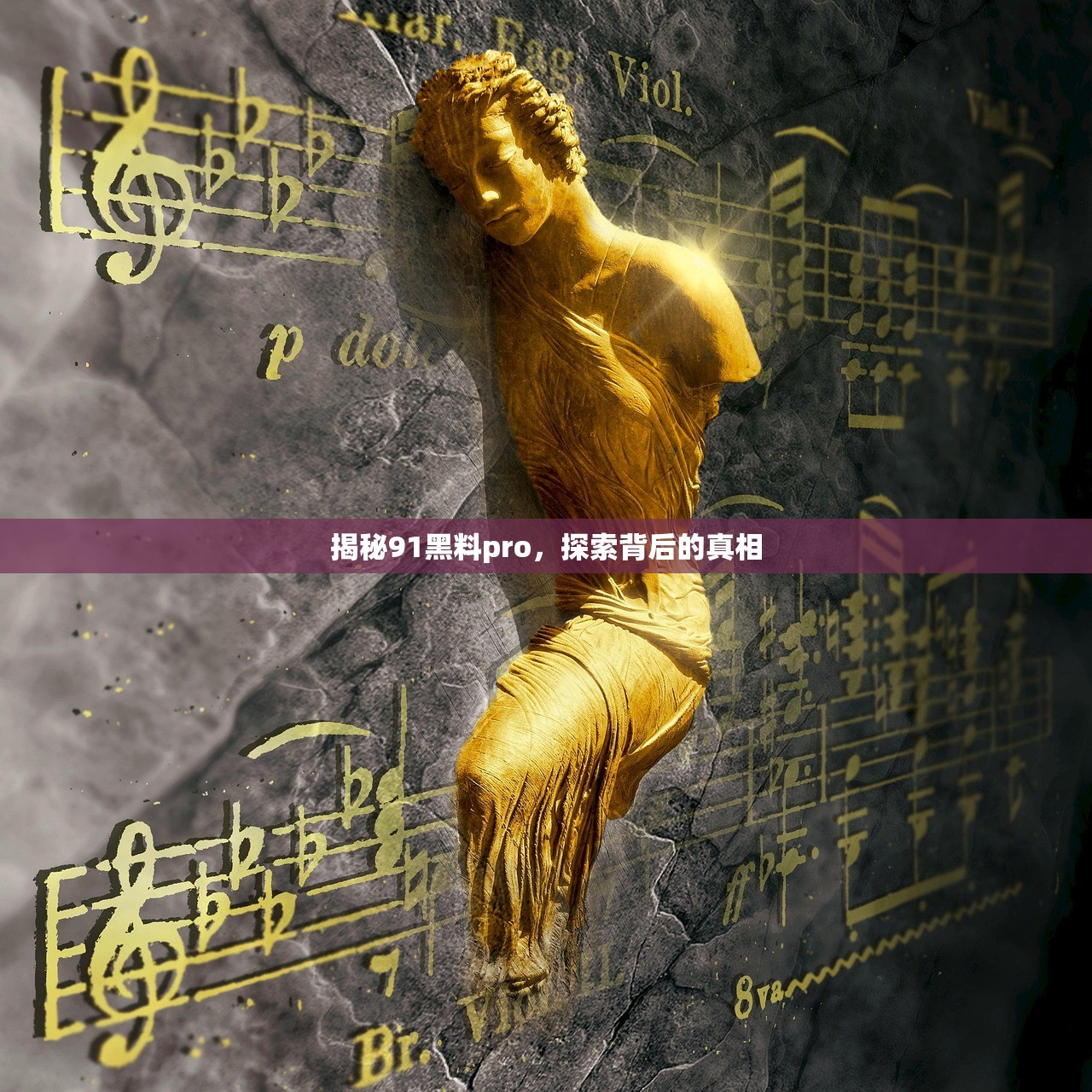揭秘91黑料pro，探索背后的真相