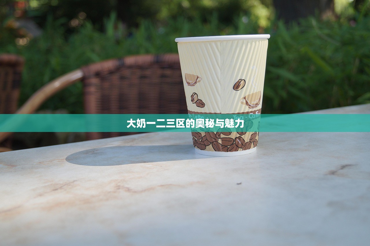 大奶一二三区的奥秘与魅力