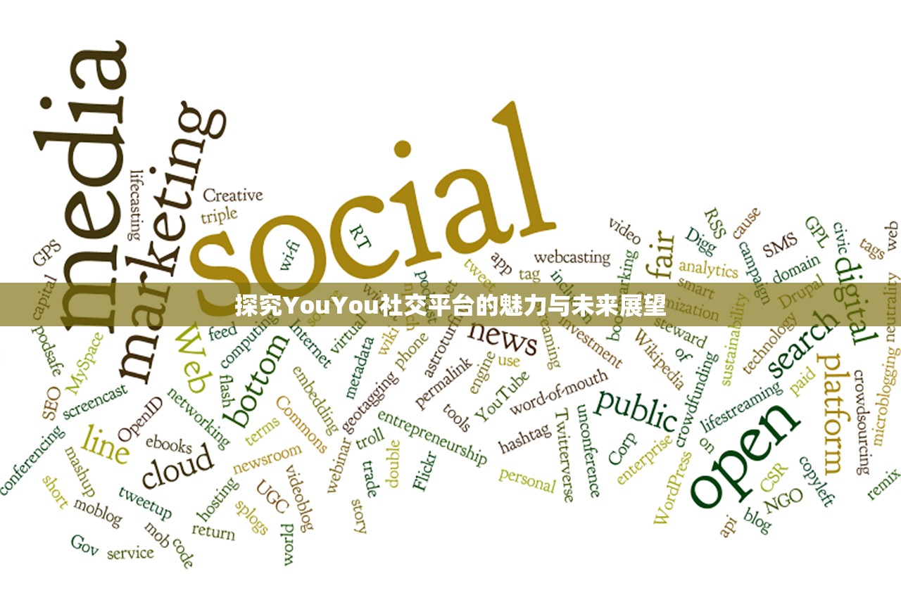 探究YouYou社交平台的魅力与未来展望