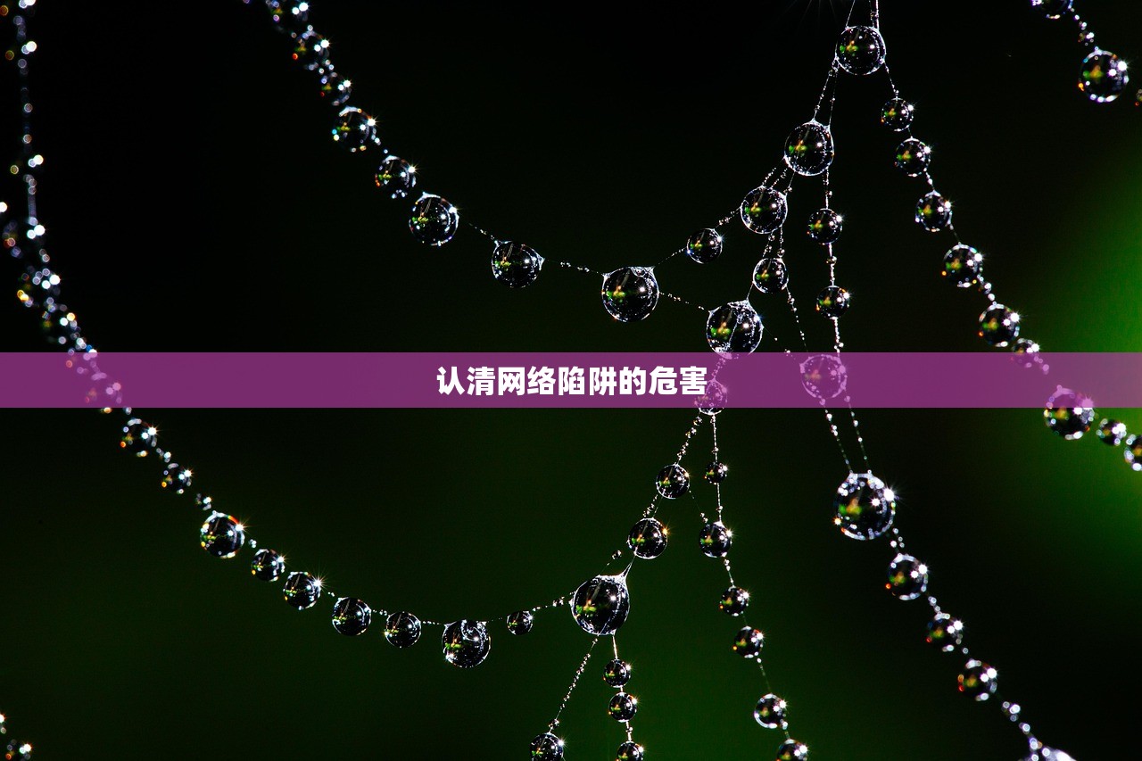 认清网络陷阱的危害