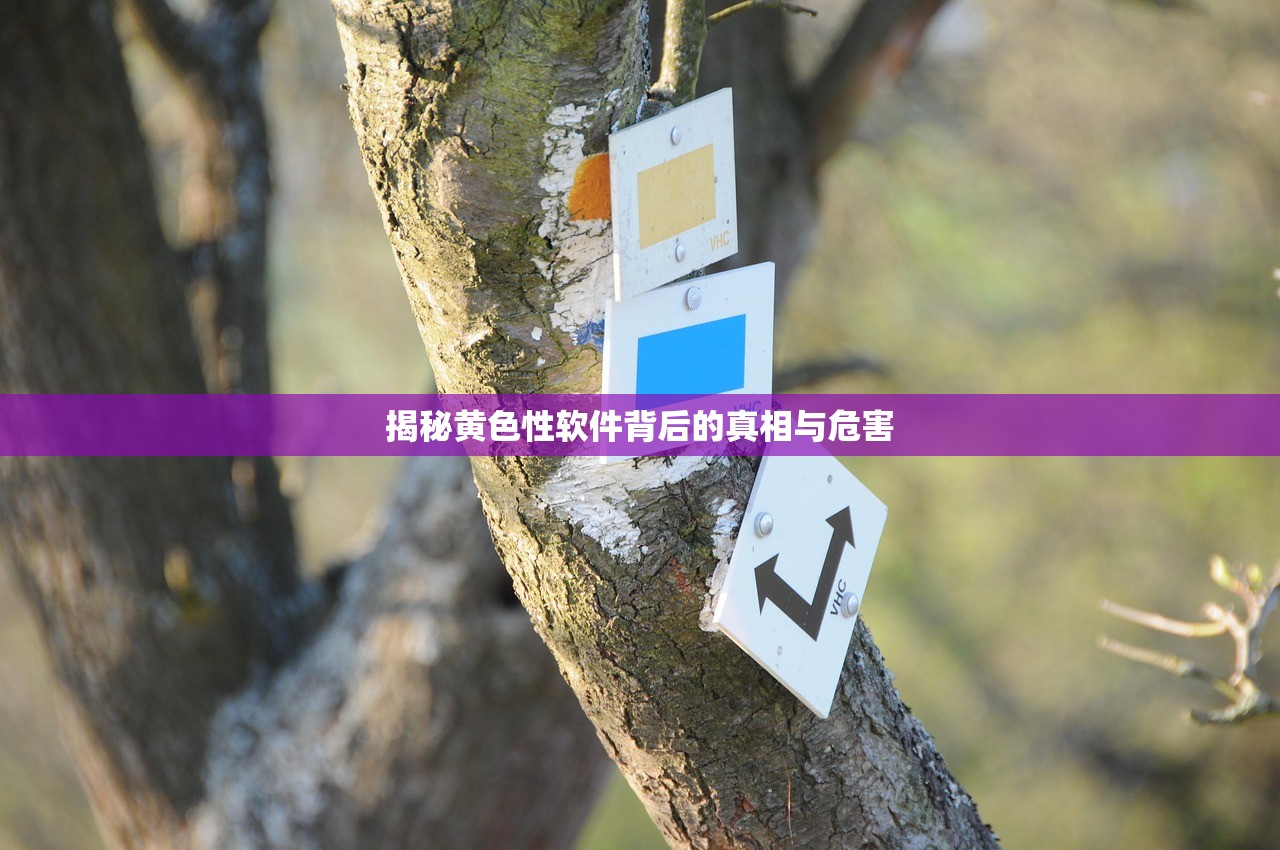 揭秘黄色性软件背后的真相与危害